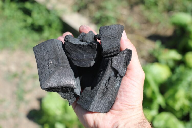 Amendement au biochar - Fabrique des Luddites