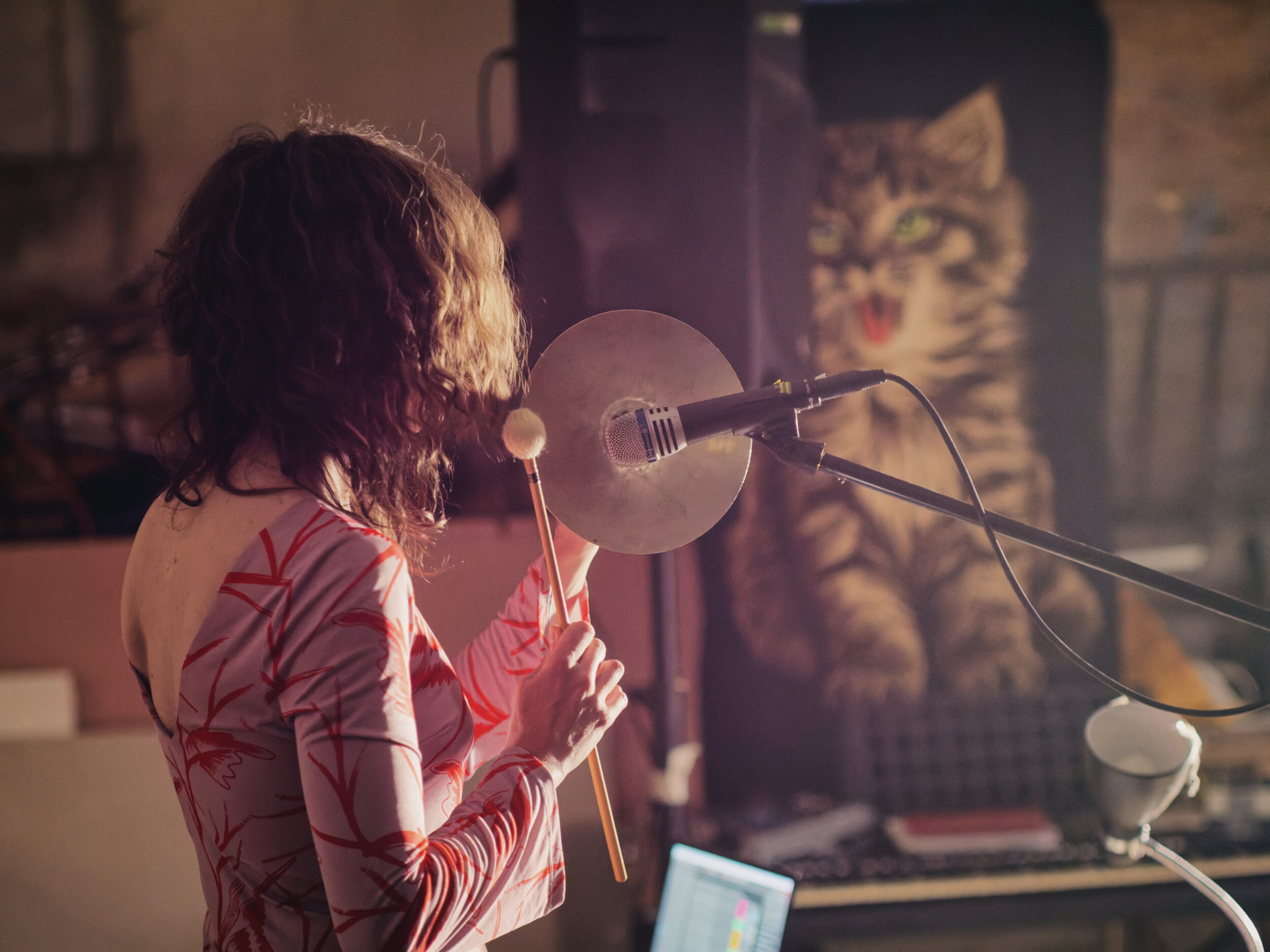 Petit Vacarme + Loups de Virginie + Might Brank - Fabrique des Luddites